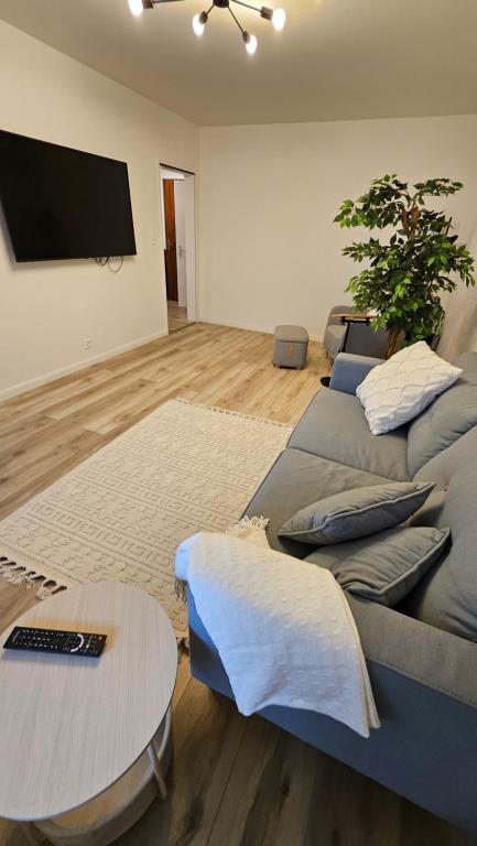 Televiisor ja/või meelelahutuskeskus majutusasutuses Ruhige 2-Zi-Wohnung mit Garage