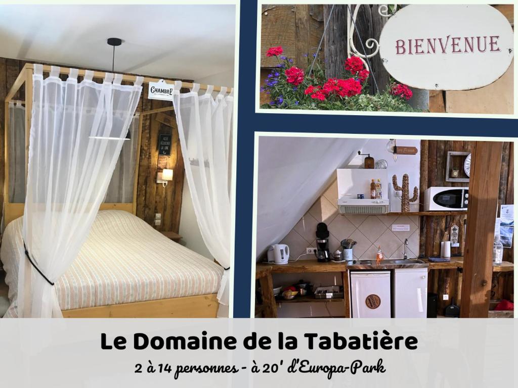 Cette chambre comprend un lit avec des rideaux et une cuisine. dans l'établissement Domaine de la Tabatière - 3 gites authentiques dont 1 PMR, à Rhinau