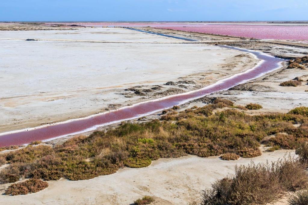 an aerial view of a beach with pink water at Nuits Salines Salin de Giraud in Salin-de-Giraud
