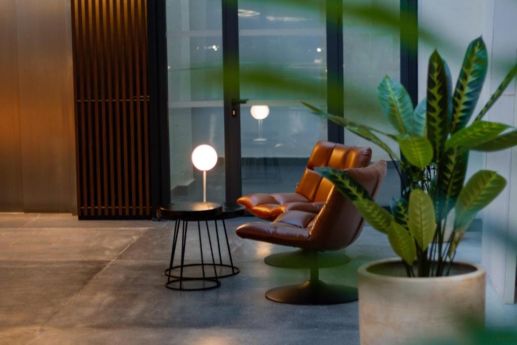 Letoh Letoh Sevilla - Resim 8