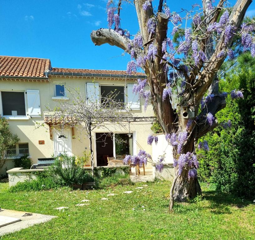 Zahrada ubytování Studio cosy en Provence