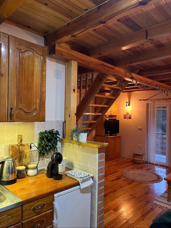 Kuchyň nebo kuchyňský kout v ubytování Adamov Konak Apartmani