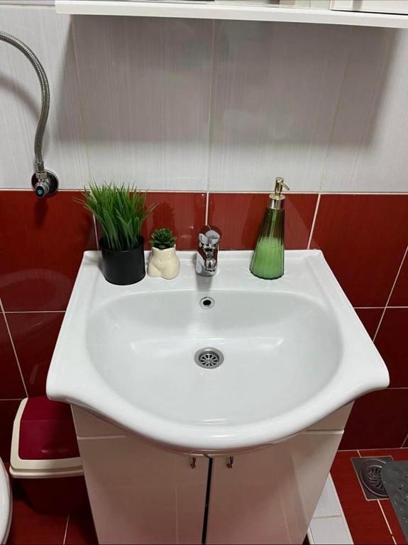 Fotografie z fotogalerie ubytování Adamov Konak Apartmani v destinaci Lazići
