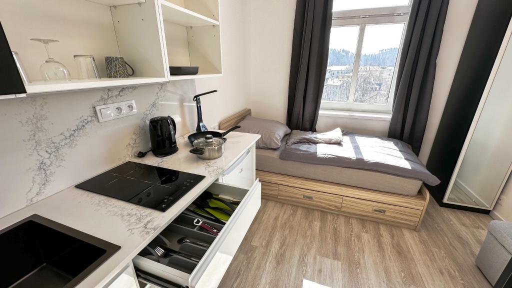 Villa Leopold - apartmánový dum - Resim 39