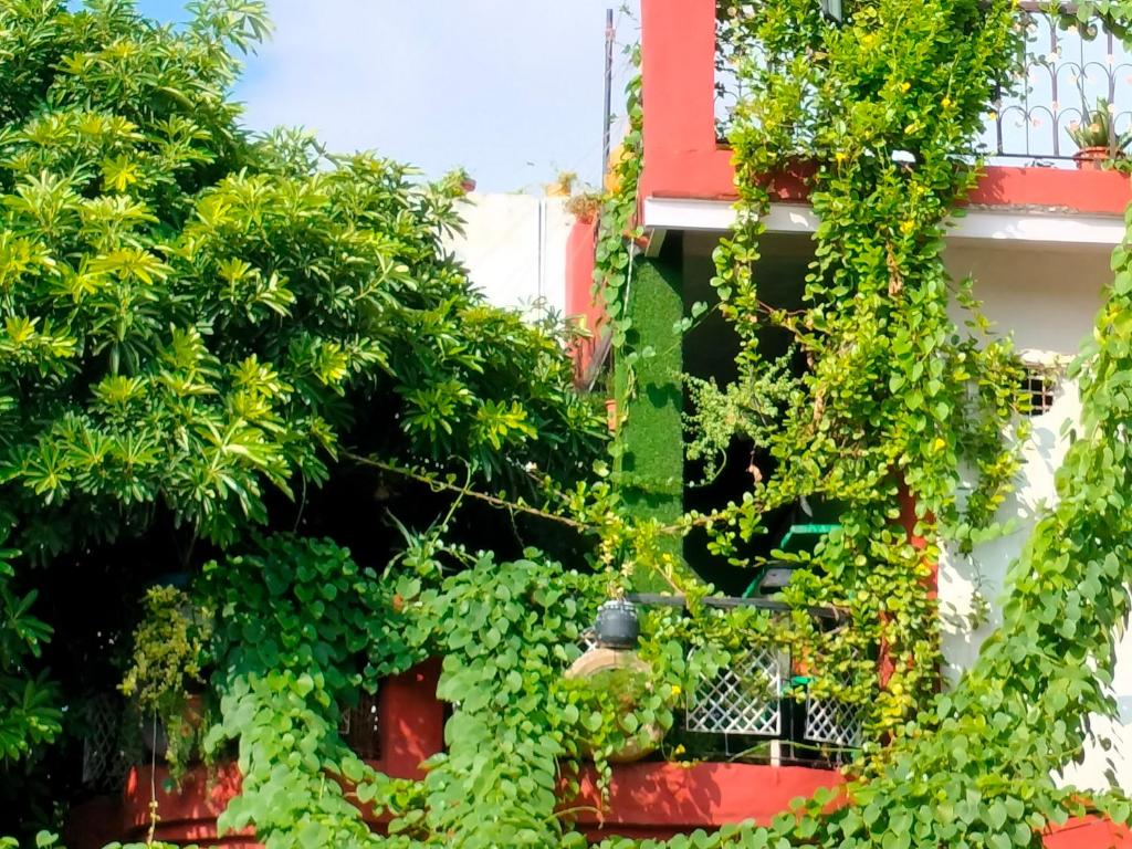 Zahrada ubytování Kishan's Hostel