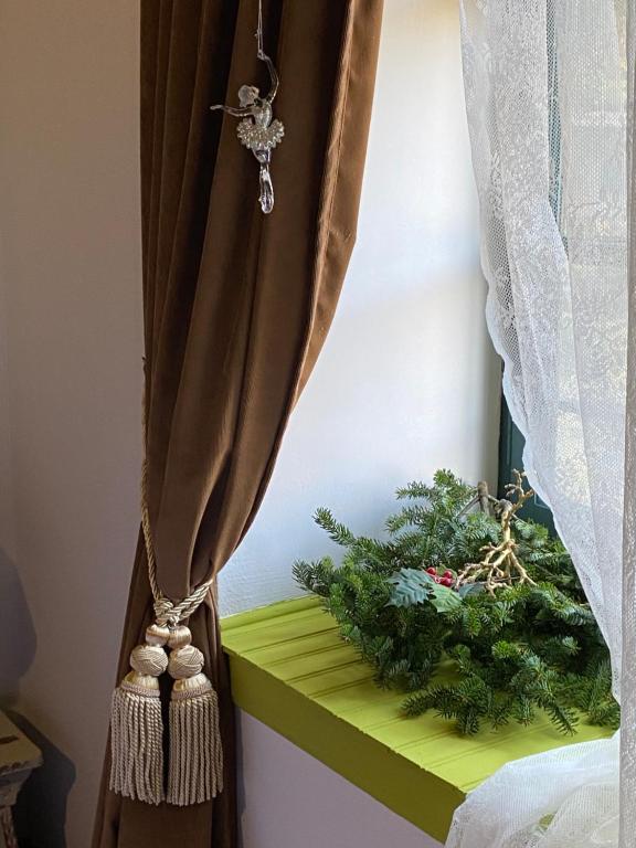 Fotografie z fotogalerie ubytování Shamrock Elati Retreats v destinaci Elati Zagori