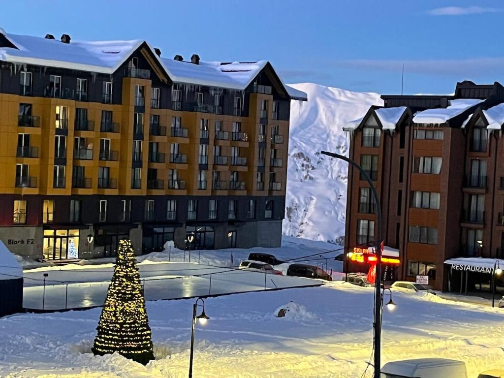 Το Four Seasons F2- One BDRM Duplex τον χειμώνα