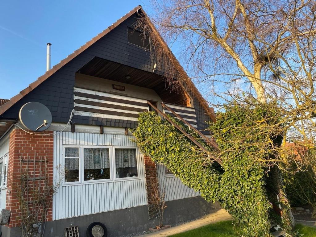 格罗森布罗德Seepferd的常春藤长在房子的一侧