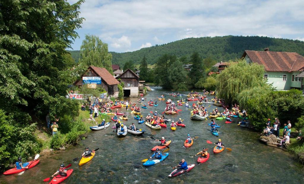 Příroda nedaleko apartmánu