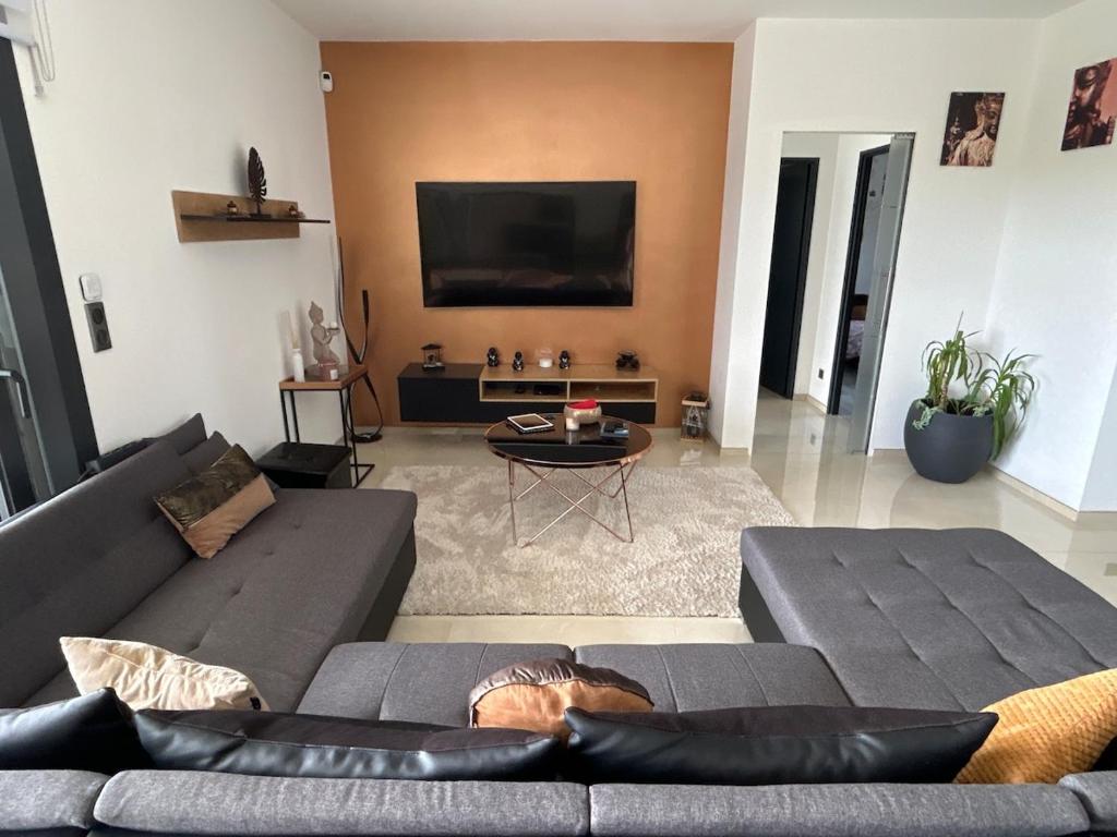 un salon avec un canapé et une télévision dans l'établissement Maison moderne au calme proche Montauban Toulouse, à Orgueil