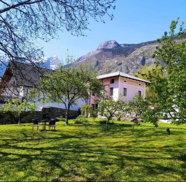 a house in a field with mountains in the background at Soca treasure with free parking in Bovec