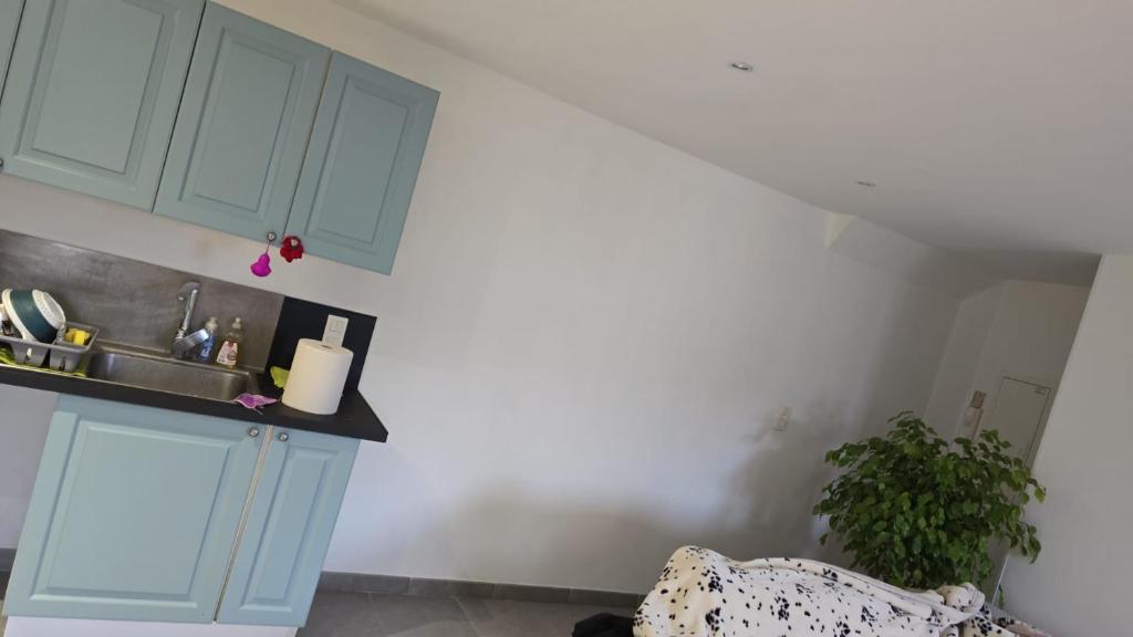 une cuisine avec des armoires bleues et un évier dans l'établissement Grand appartement, à Béziers
