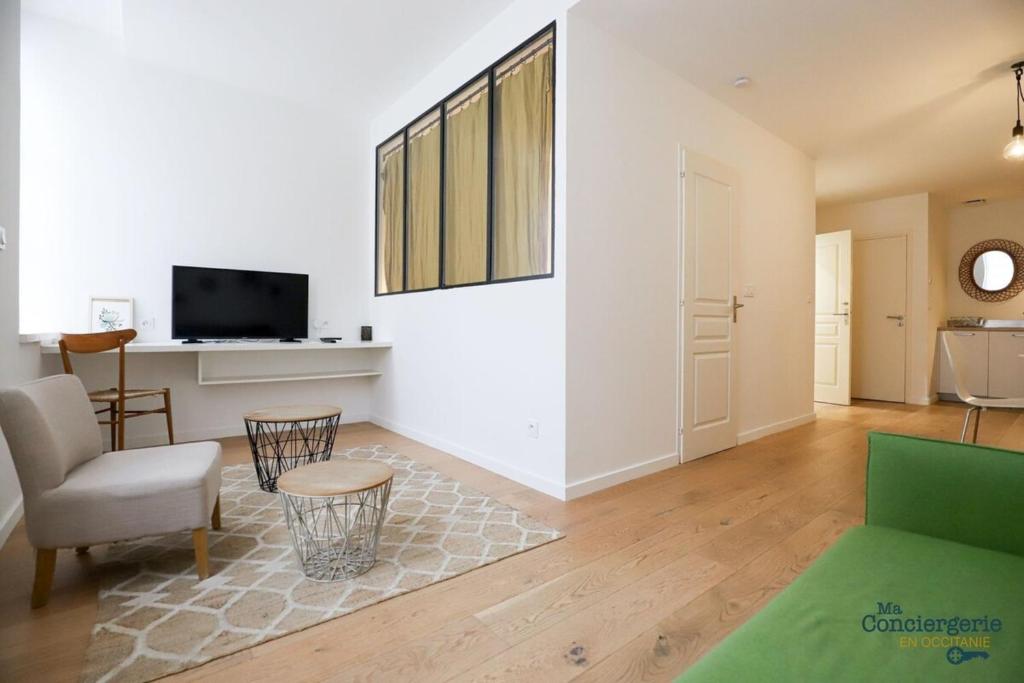 - un salon avec un canapé vert et une télévision dans l'établissement Dv3 Le Vert et Or - Métro - Gare centre ville, à Toulouse