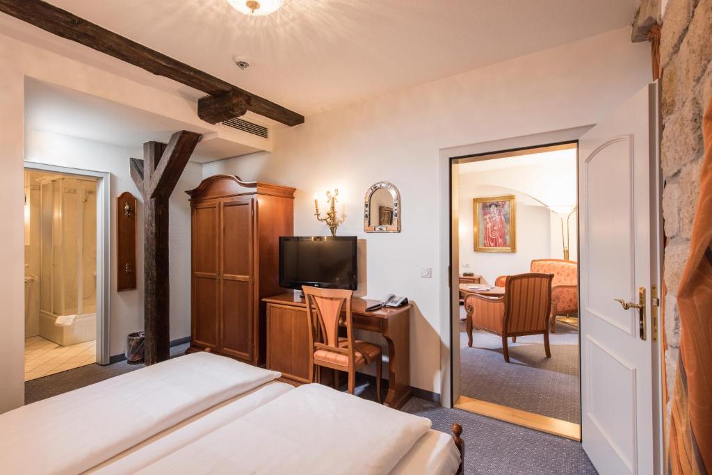 TV a/nebo společenská místnost v ubytování Hotel Goldener Löwe