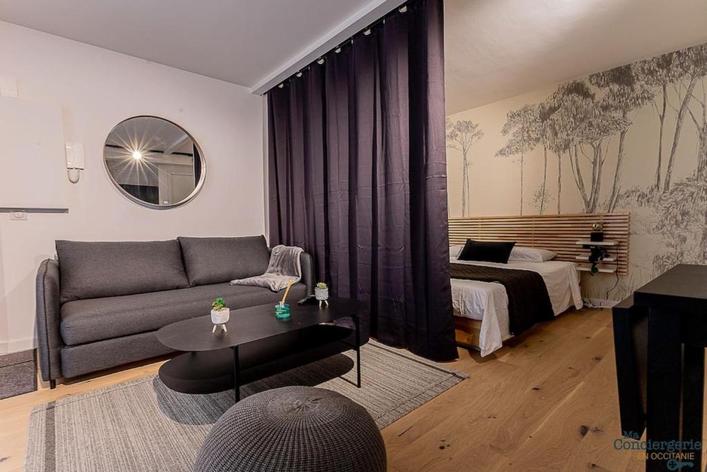 un salon avec un canapé et un lit dans l'établissement Filatiers 8 - Carmes hypercentre - 1 min du métro, à Toulouse