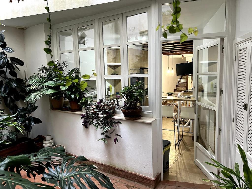 une chambre avec un tas de plantes en pot dans l'établissement La casa del Retablo, à Cordoue