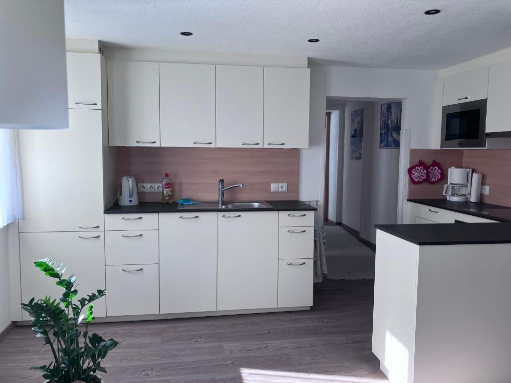 Kuchyň nebo kuchyňský kout v ubytování Haus Plankensteiner