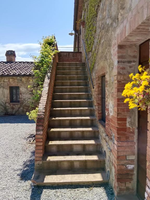 Monastero Sant'Anna in Camprena - 15