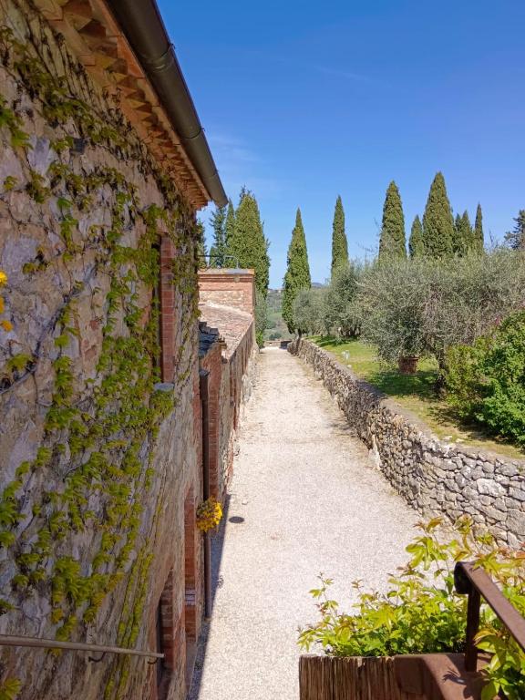 Monastero Sant'Anna in Camprena - 12