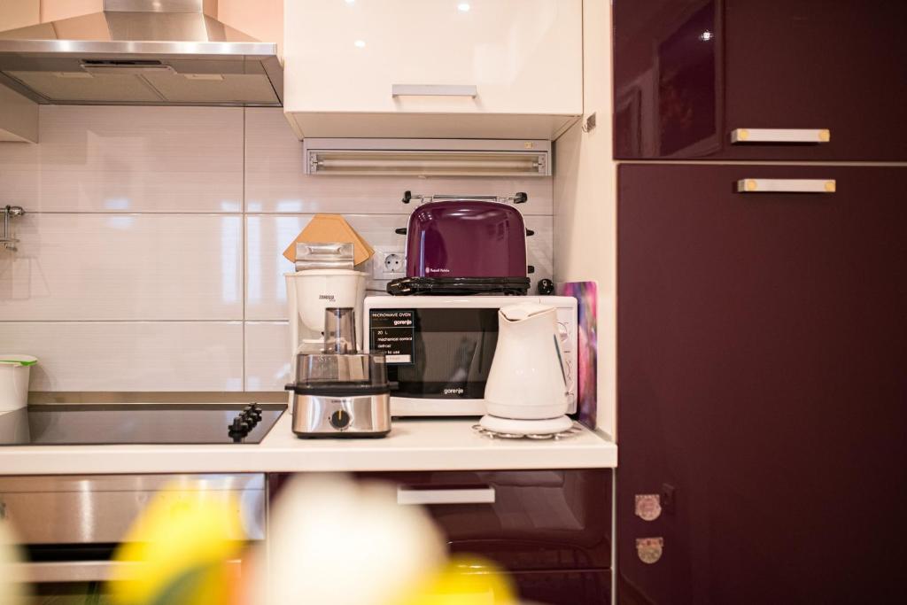 Kuchyň nebo kuchyňský kout v ubytování Apartment Maris
