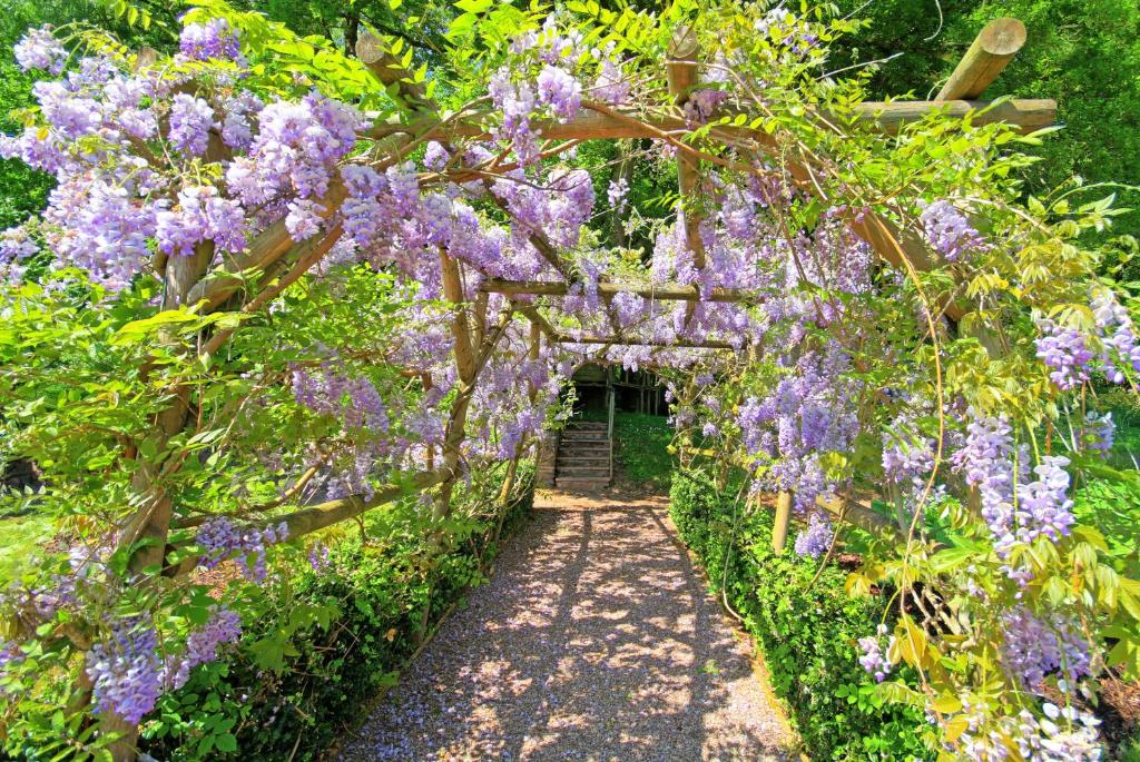 Zahrada ubytování Bickleigh Castle