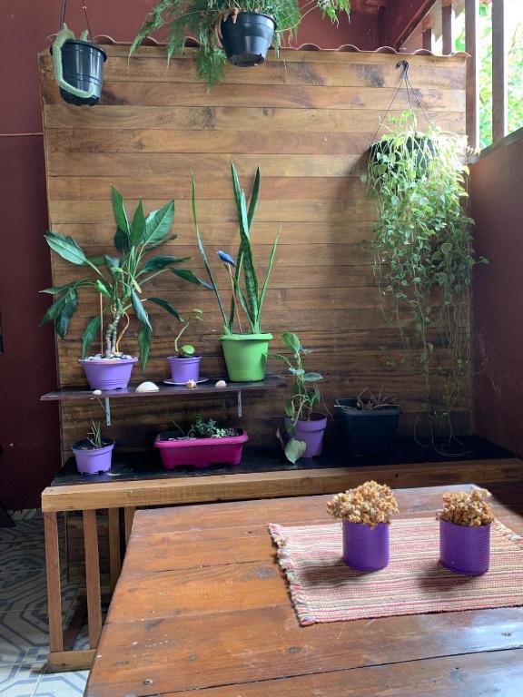 Fotografie z fotogalerie ubytování Hostel Embaúba Paraty v destinaci Paraty
