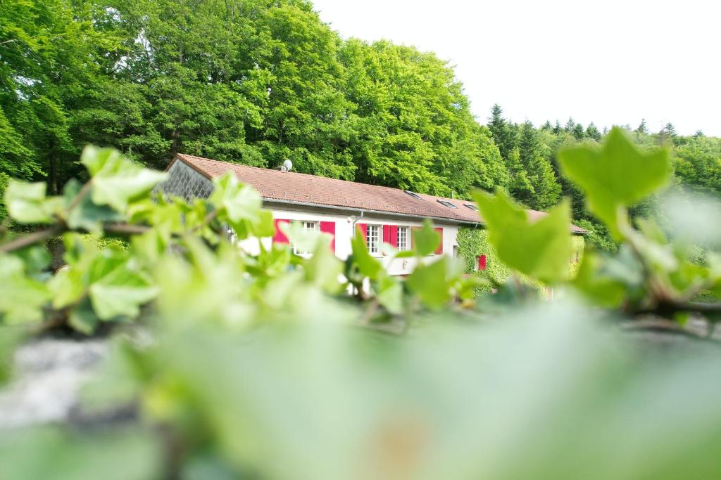 une maison rouge avec des arbres devant elle dans l'établissement Le Bois Des Fées, à Les Martys