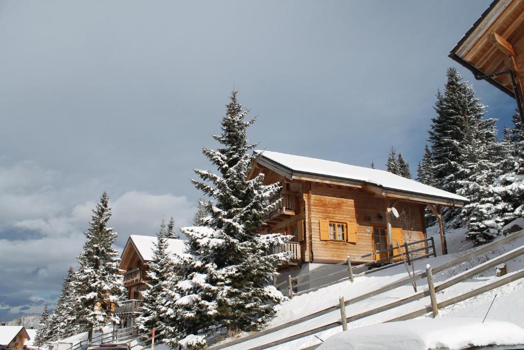 a log cabin in the snow with trees at Feriendorf Koralpe Chalet Gamssprung in St. Gertraud