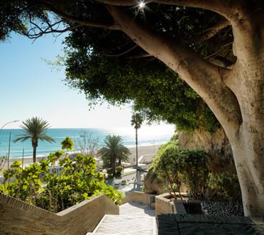 a view of the beach from a building with a tree at Apartamentos Ritual Casablanca in Torremolinos