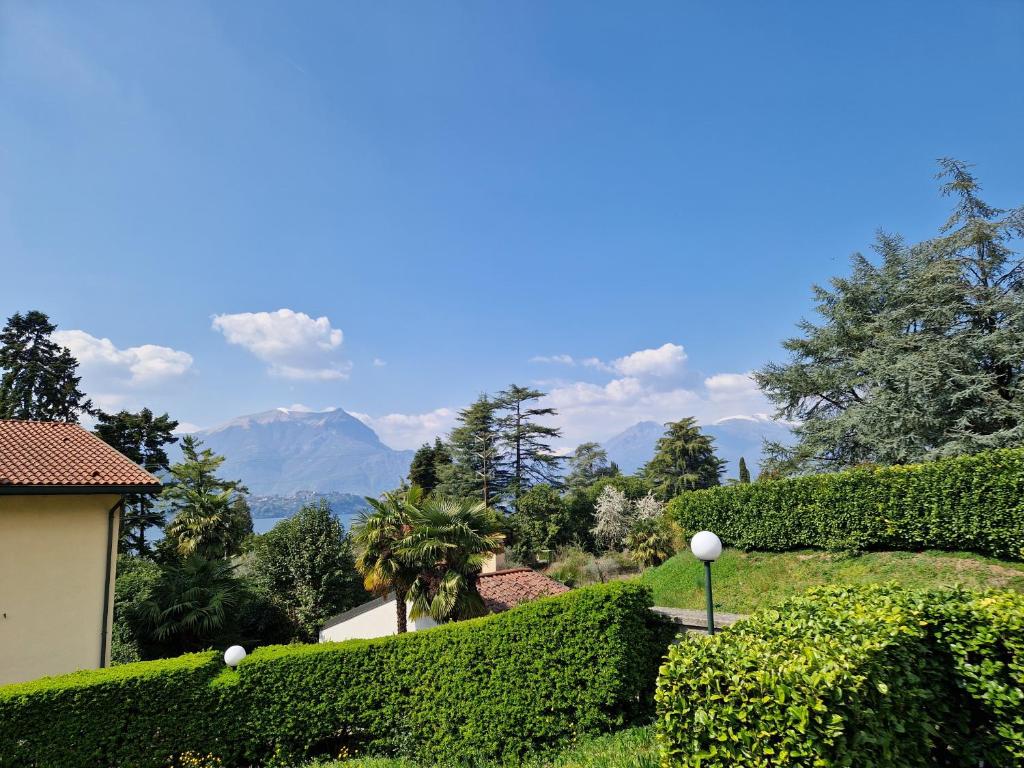 vistas a un jardín con arbustos y montañas en Cà del Luis, en Lierna