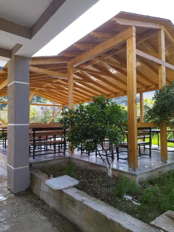 Zahrada ubytování Villa Bailey
