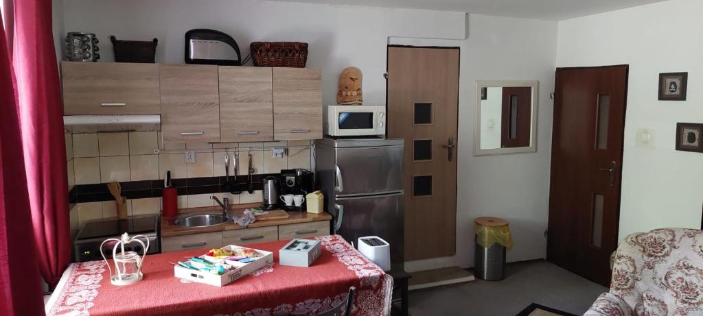 Kuchyň nebo kuchyňský kout v ubytování Vila Kost