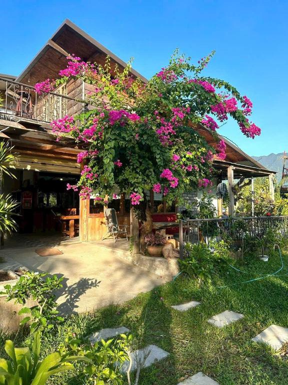 Zahrada ubytování Homie Hava Homestay