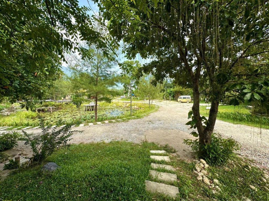 Zahrada ubytování Homie Hava Homestay