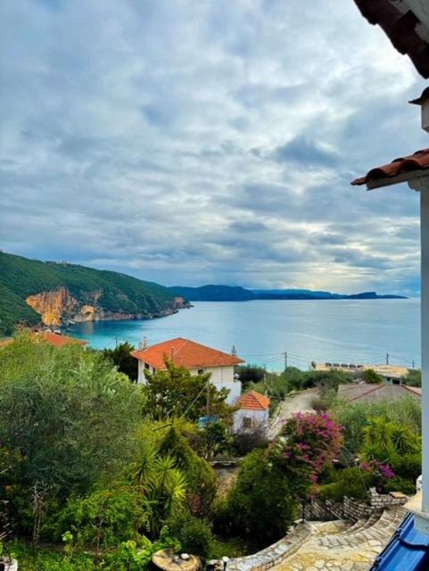 Dolphin Apartments - 18