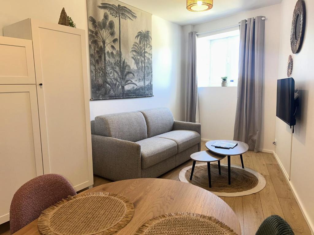 un salon avec un canapé et une table dans l'établissement Ile de groix - T2 - centre-ville - TV, à Vannes