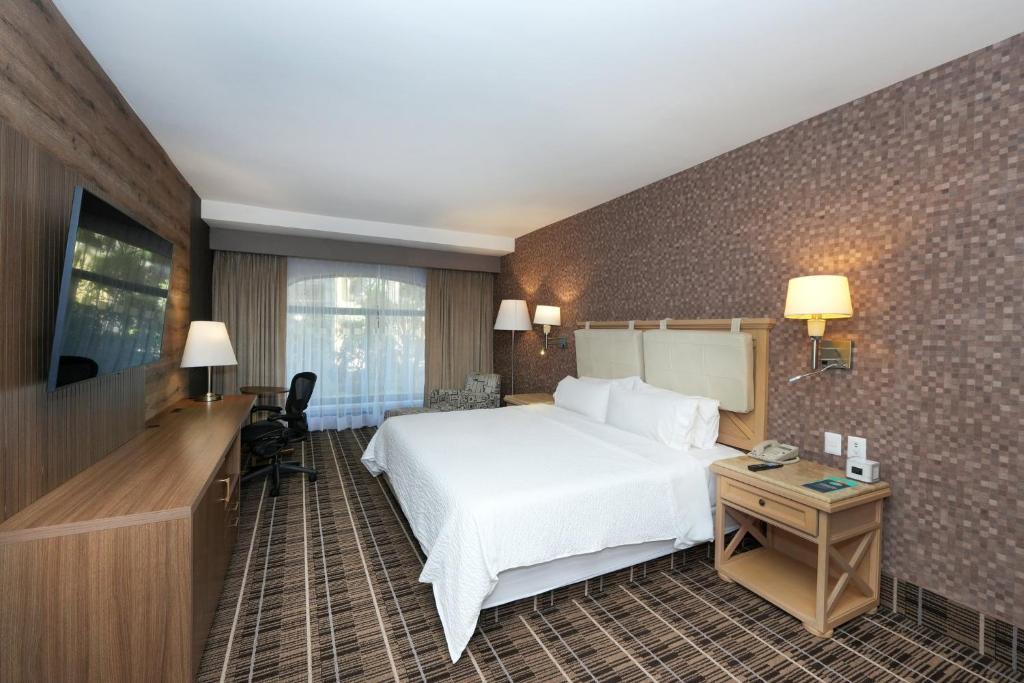 Holiday Inn Queretaro Centro Historico by IHG - Standaard King Kamer