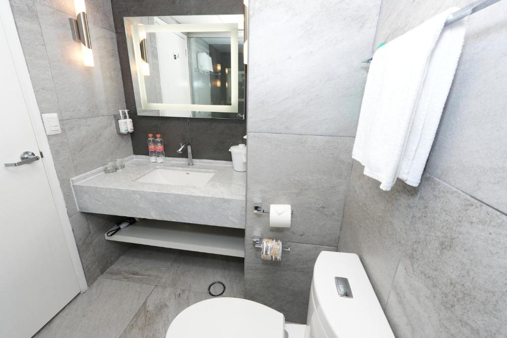 Holiday Inn Queretaro Centro Historico by IHG - Standaard Queen Kamer Met Uitzicht Op De Tuin