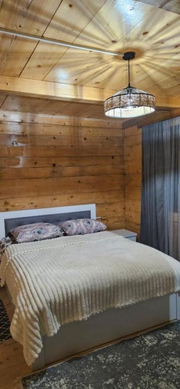 Postel nebo postele na pokoji v ubytování Sabauri