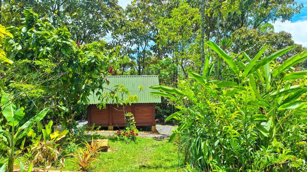 Zahrada ubytování Jardin del Sol Ecoglamping SAS