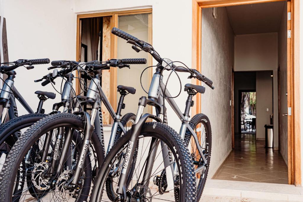 Jízda na kole v ubytování Kualena Hostal nebo okolí