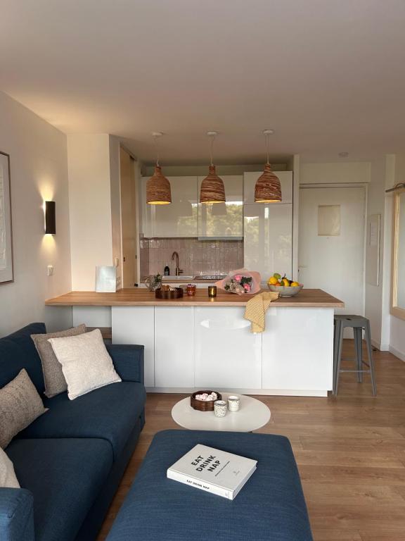 een woonkamer met een blauwe bank en een keuken bij Port Vauban - 6pers - terrasse - parking in Antibes
