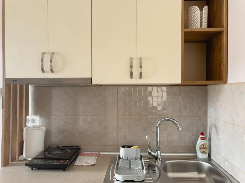 Kuchyň nebo kuchyňský kout v ubytování Apartmani AquaMarine