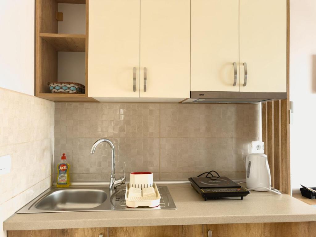 Kuchyň nebo kuchyňský kout v ubytování Apartmani AquaMarine