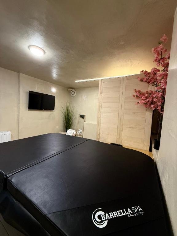 Stolní tenis v ubytování Panorama Luxury Suite nebo okolí