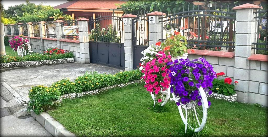 a bicycle with flowers in the grass next to a fence at Лорета-Камен бряг in Kamen Bryag