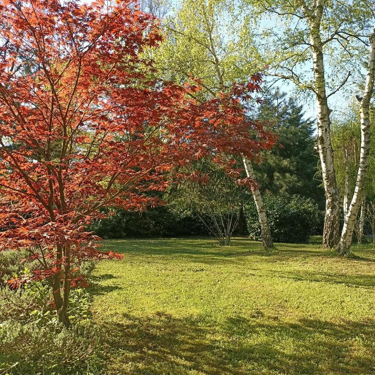 Zahrada ubytování Ranch V8 Kosmaj