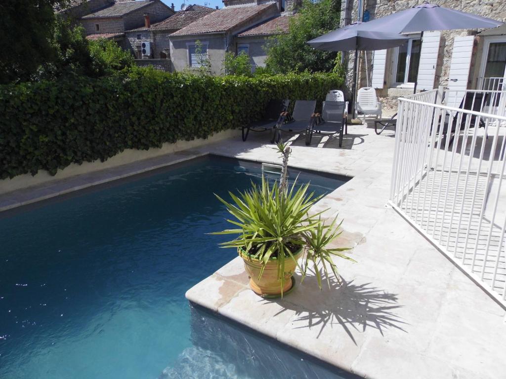 uma piscina com um vaso de plantas num quintal em La Mais'Ange em Berrias Et Casteljau