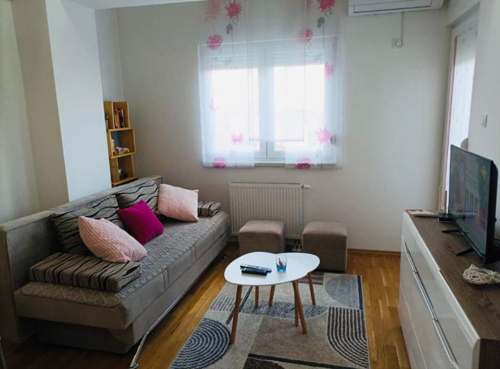 Μια τηλεόραση ή/και κέντρο ψυχαγωγίας στο Apartman Ema