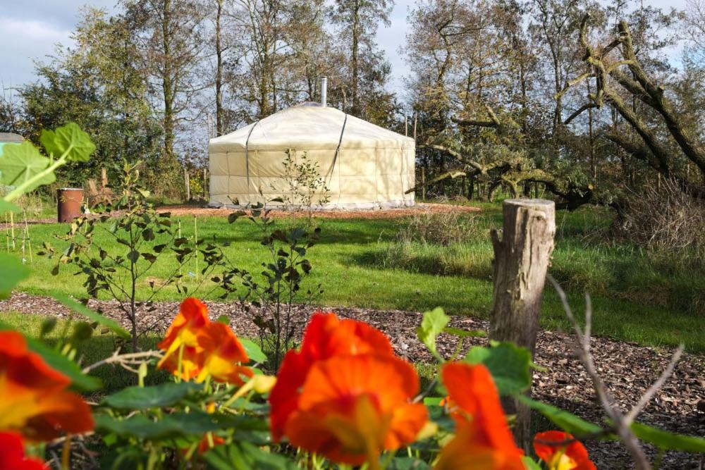 a yurt in the middle of a field with flowers at Yurt Klyndobbe in Veenwoudsterwal